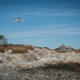 CyPhy’s UPS-branded drone embarking on its maiden journey.